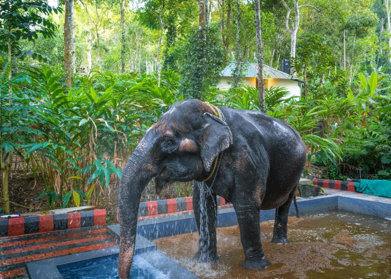 Amritara Shalimar Spice Garden Resort & Spa Thekkady Exterior photo